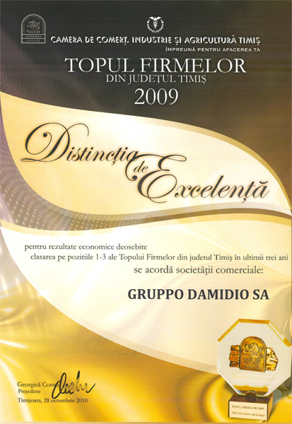 distinctia de excelenta topul firmelor 2009 gruppo damidio